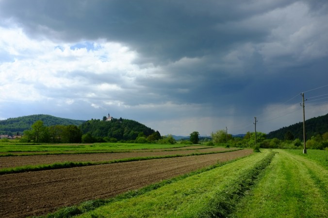 wp-1462998556406 image