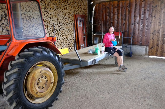 wp-1462998738552 image