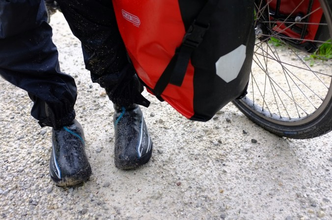 wp-1462998786965 image