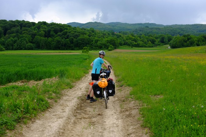 wp-1462998939505 image