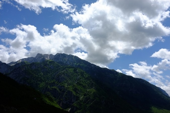 wp-1466143536708 image