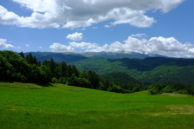 wp-1466143987283 image