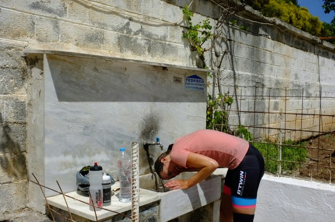 wp-1466144787039 image