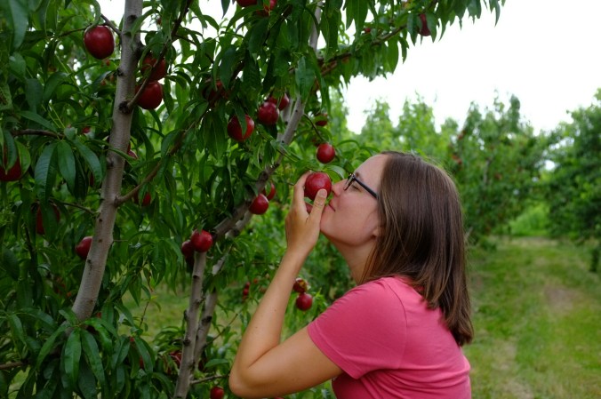 wp-1466145110975 image