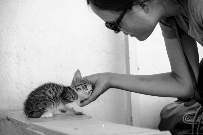 20170609-DSCF1950-sans titre