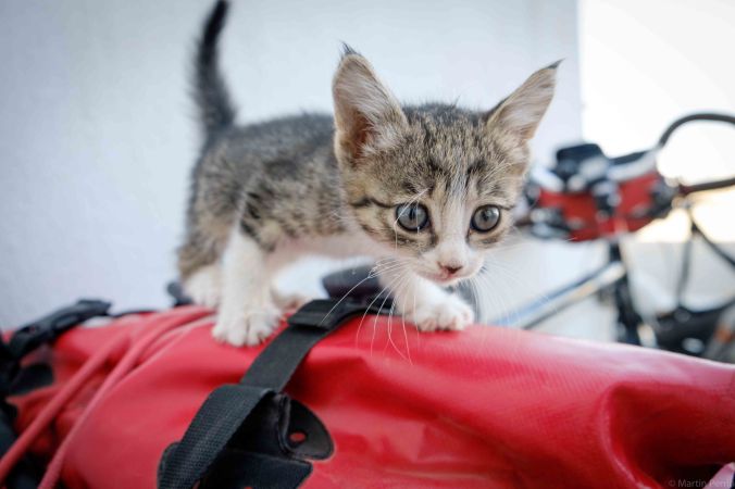 20170609-DSCF1975-sans titre