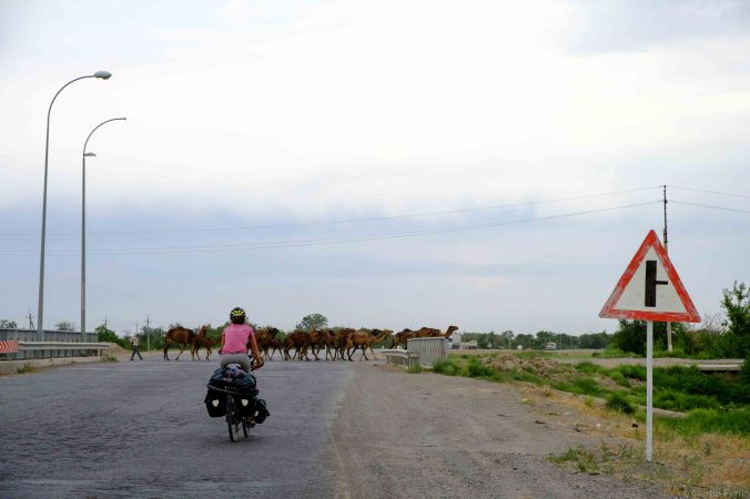 20170609-DSCF1999-sans titre