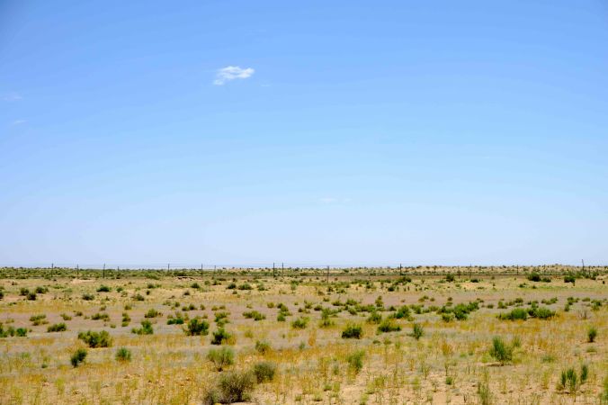 20170610-DSCF2013-sans titre