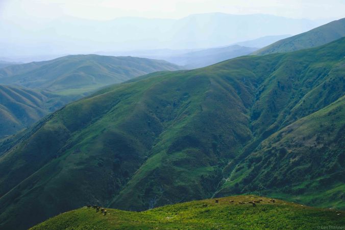 20170802-DSCF3399-Silk Road