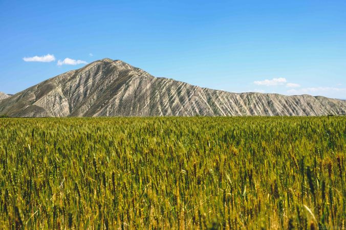 20170805-DSCF3521-Silk Road