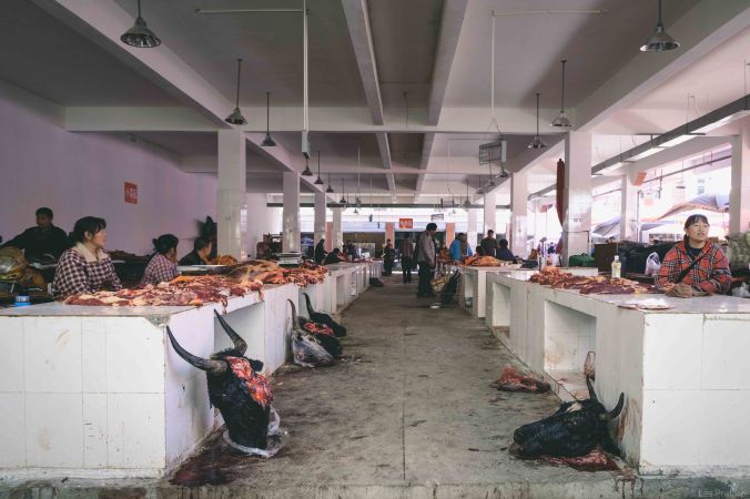 20170913-DSCF4336-Asie