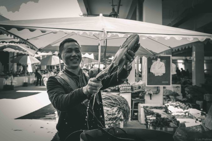 20170913-DSCF4339-Asie