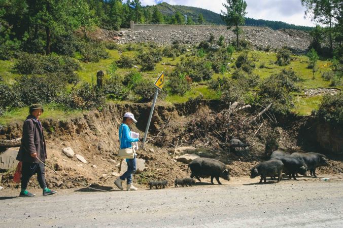 20170923-DSCF4514-Asie