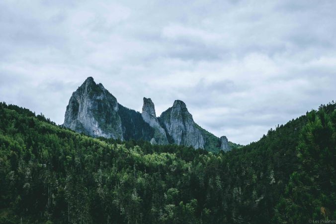 20170926-DSCF4592-Asie