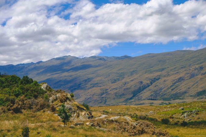 20180114-DSCF7165-NZ-4