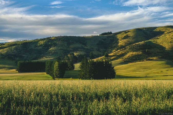 20180114-DSCF7176-NZ-4