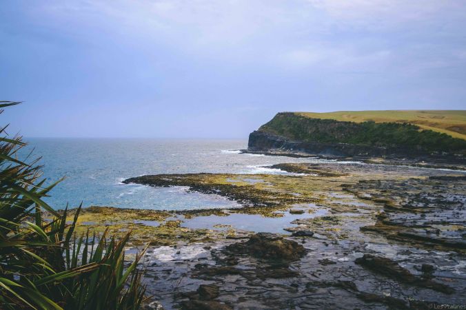 20180116-DSCF7192-NZ-4