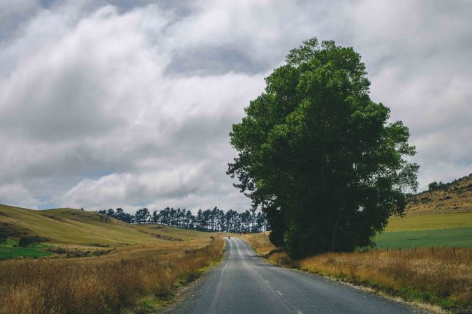 20180119-DSCF7236-NZ-4