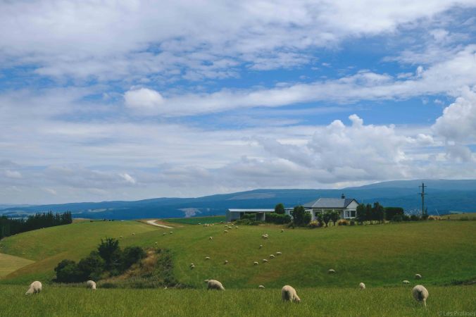 20180119-DSCF7248-NZ-4