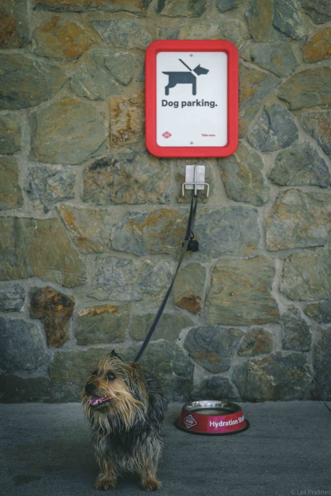 20180121-DSCF7308-NZ-4