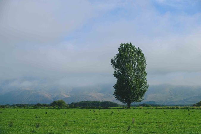 20180124-DSCF7455-NZ-4