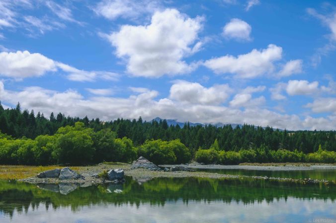 20180126-DSCF7518-NZ-4