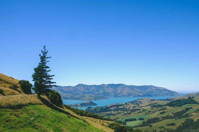 20180130-DSCF7544-NZ-4