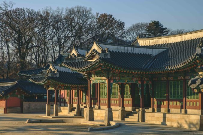 20180207-DSCF7702-Asie-Corée