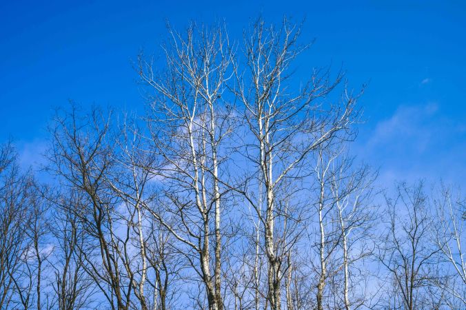 20180211-DSCF7819-Asia-Corée