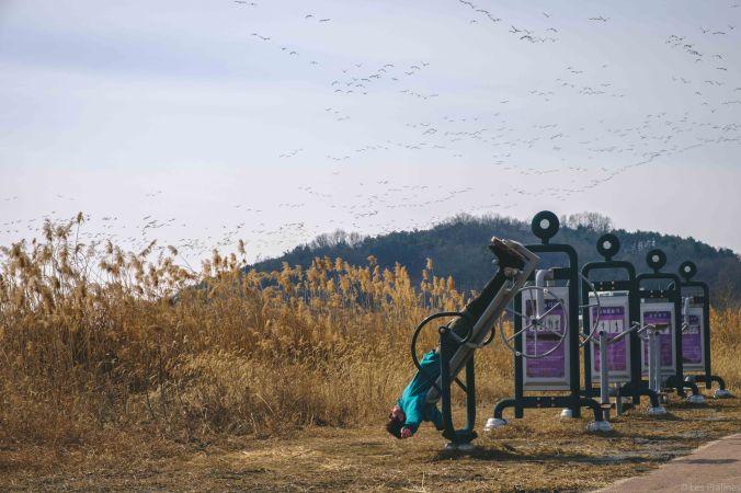 20180216-DSCF7962-Asie-Corée