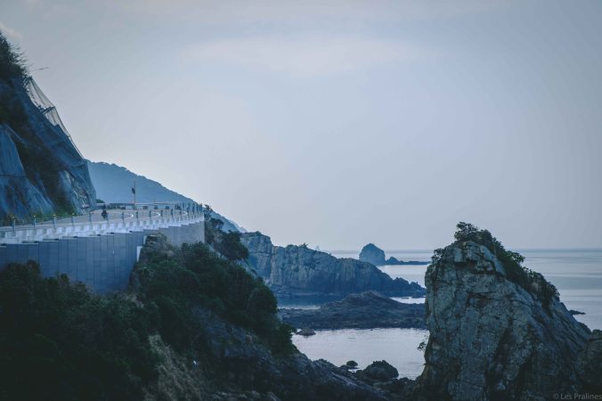 20180313-DSCF8756-Asie-Japon