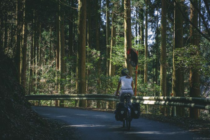 20180317-DSCF8907-Asie-Japon