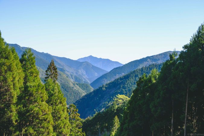 20180317-DSCF8968-Asie-Japon