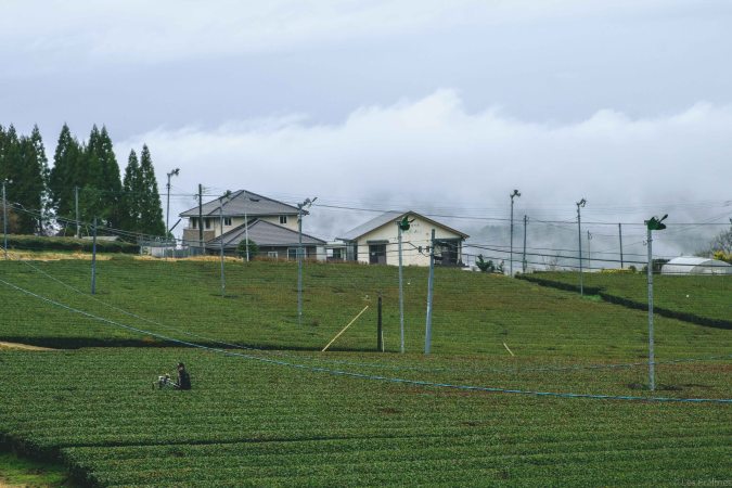 20180319-DSCF9121-Asie-Japon