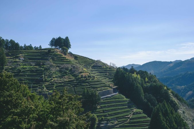 20180324-DSCF9203-Asie-Japon