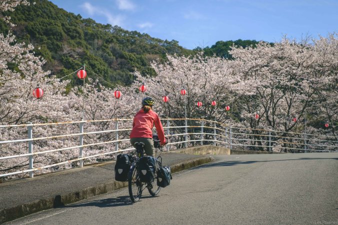 20180324-DSCF9214-Asie-Japon