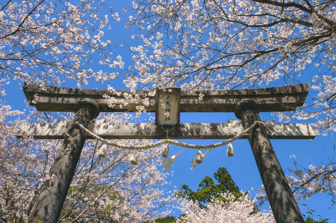 20180324-DSCF9274-Asie-Japon