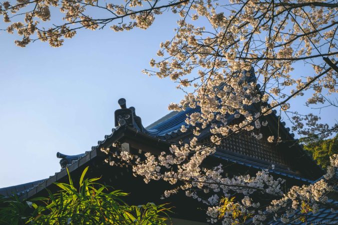 20180324-DSCF9305-Asie-Japon