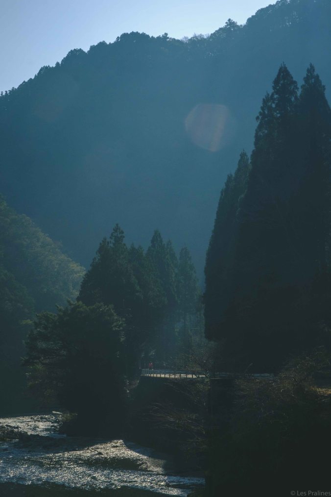 20180326-DSCF9415-Asie-Japon