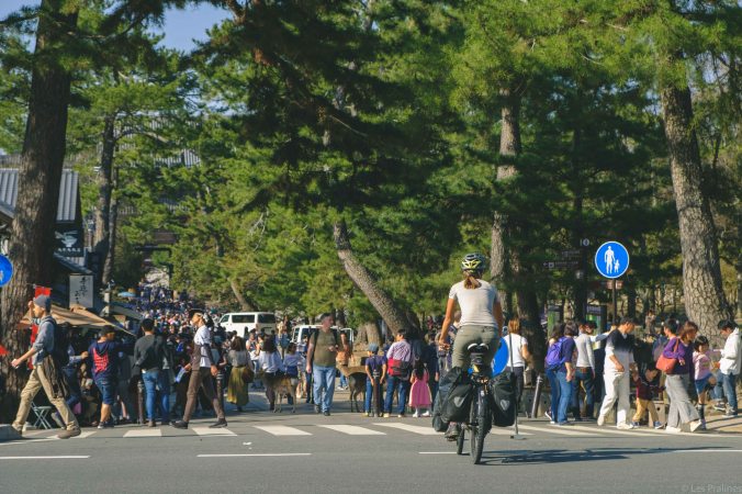 20180328-DSCF9458-Asie-Japon-Honshu