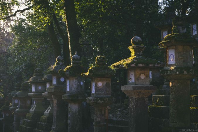 20180328-DSCF9488-Asie-Japon-Honshu