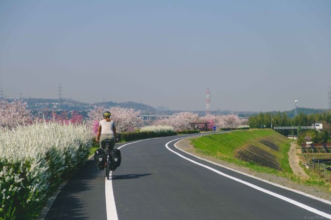 20180329-DSCF9567-Asie-Japon-Honshu