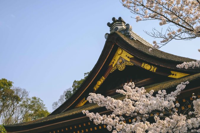 20180329-DSCF9578-Asie-Japon-Honshu