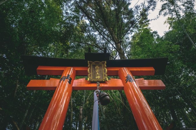 20180329-DSCF9599-Asie-HDR-Japon-Honshu