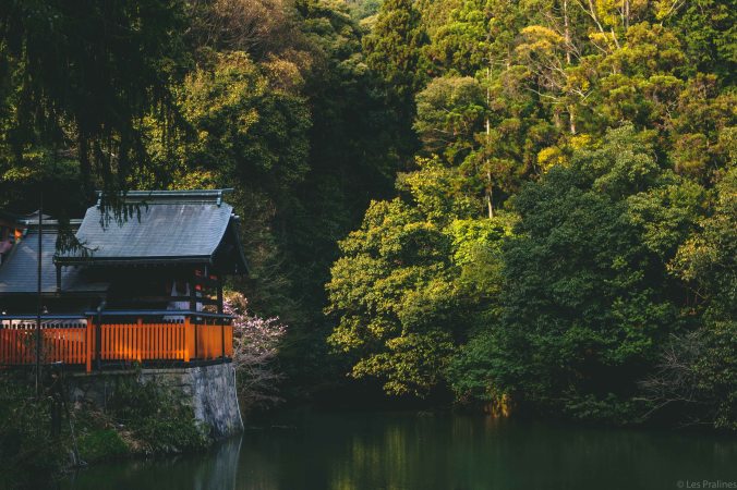 20180329-DSCF9602-Asie-Japon-Honshu