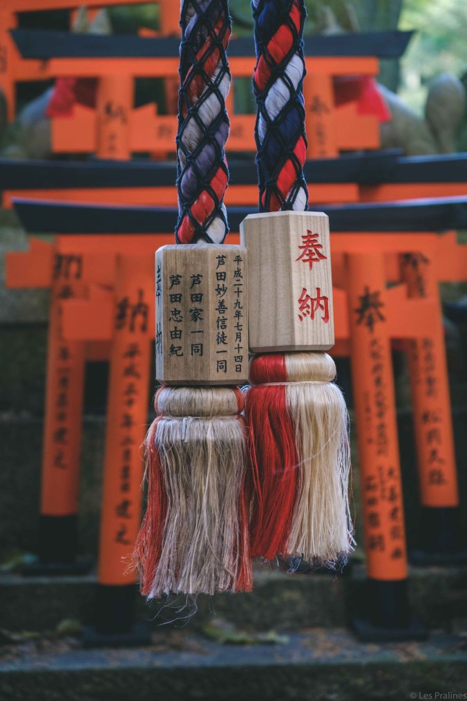 20180329-DSCF9610-Asie-Japon-Honshu