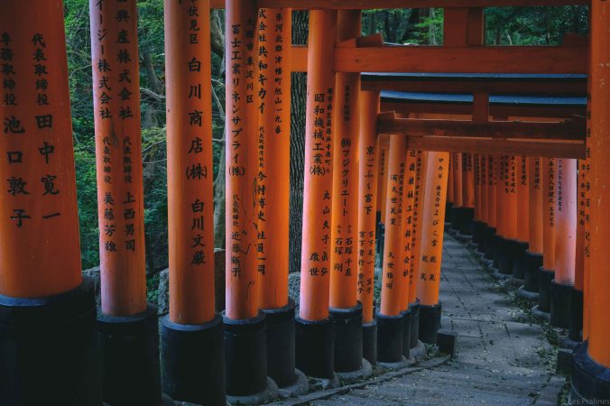 20180329-DSCF9618-Asie-Japon-Honshu