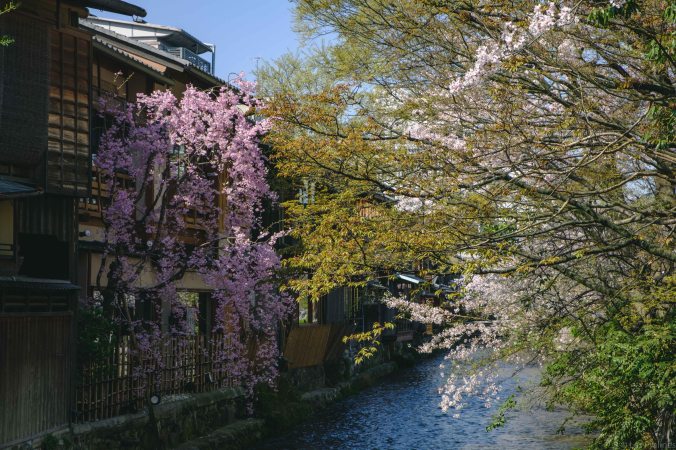 20180330-DSCF9644-Asie-Japon-Honshu