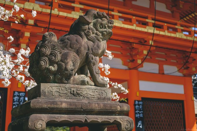 20180330-DSCF9656-Asie-Japon-Honshu