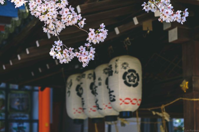 20180330-DSCF9659-Asie-Japon-Honshu